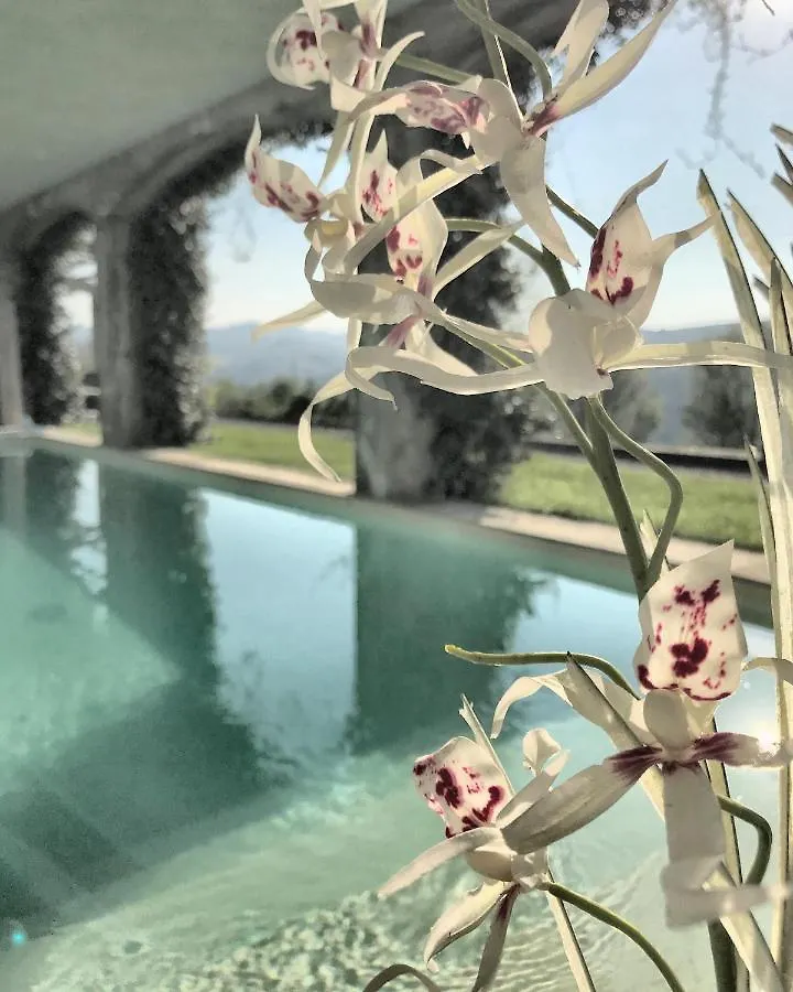 Il Sassoscritto Bed And Breakfast Montecalvo Versiggia 4*,  Italy