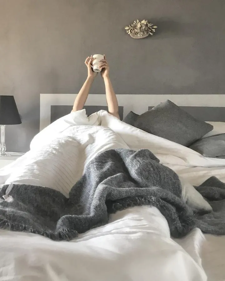 Il Sassoscritto Bed And Breakfast Montecalvo Versiggia 4*,